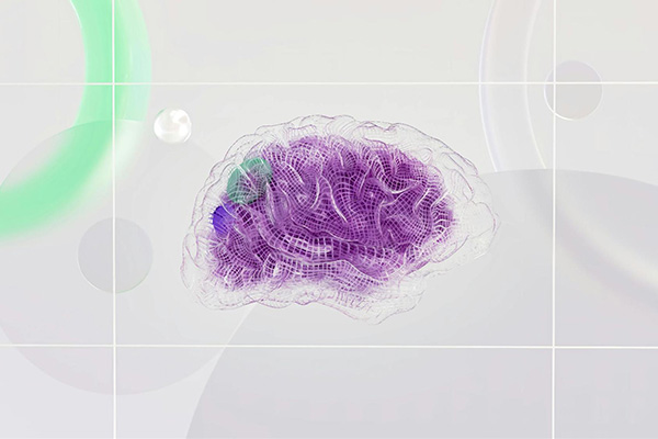 Feldenkrais et neuroplasticité